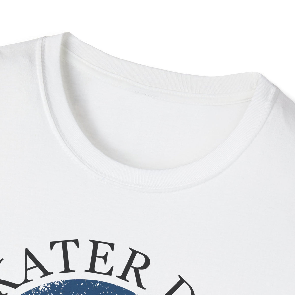 Skater Dad 2 T-Shirt